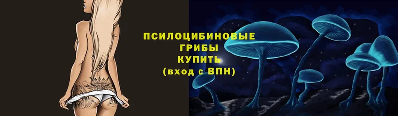 kraken tor  Агидель  Галлюциногенные грибы Magic Shrooms 